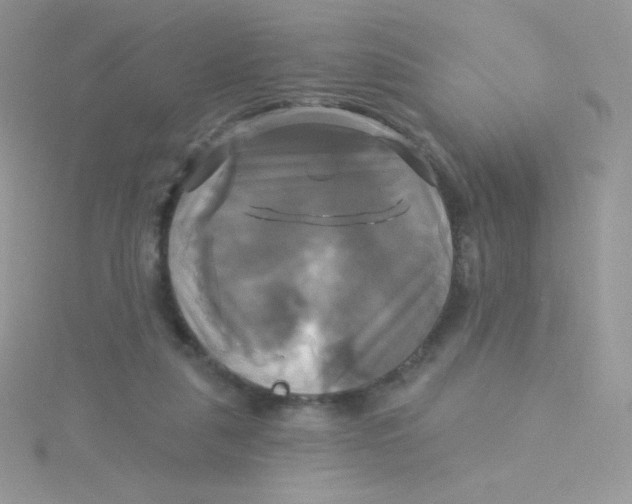 X0000115330259200911231418