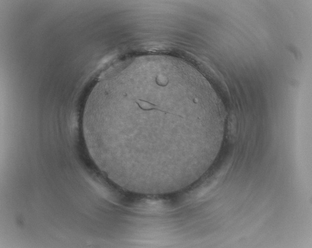 X0000115330260200911231418