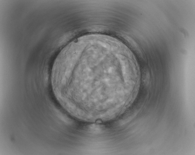 X0000115330261200911231418