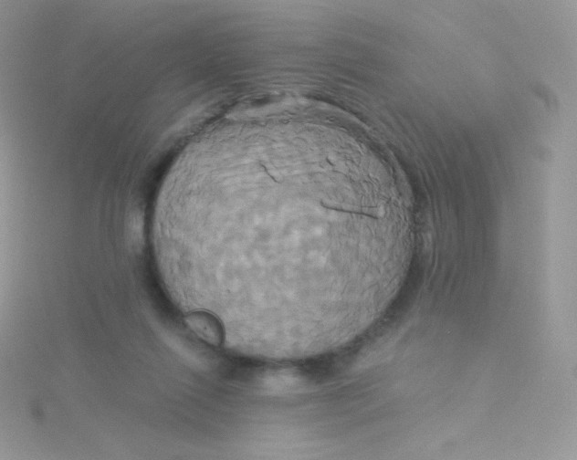 X0000115330262200911231418