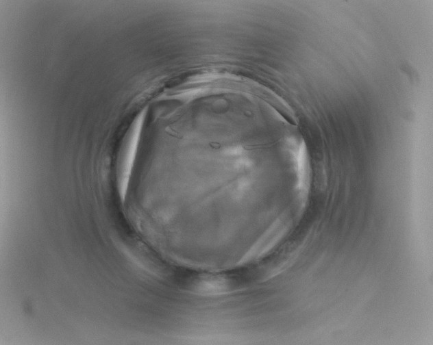 X0000115330263200911231418