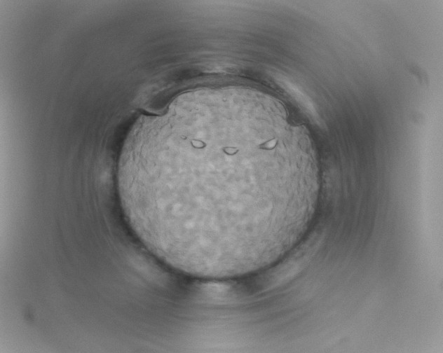 X0000115330265200911231418