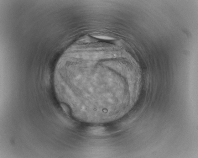 X0000115330266200911231418