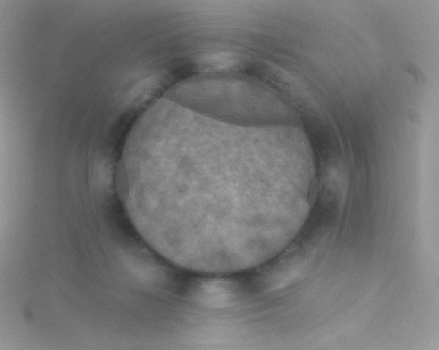 X0000115330268200911231418