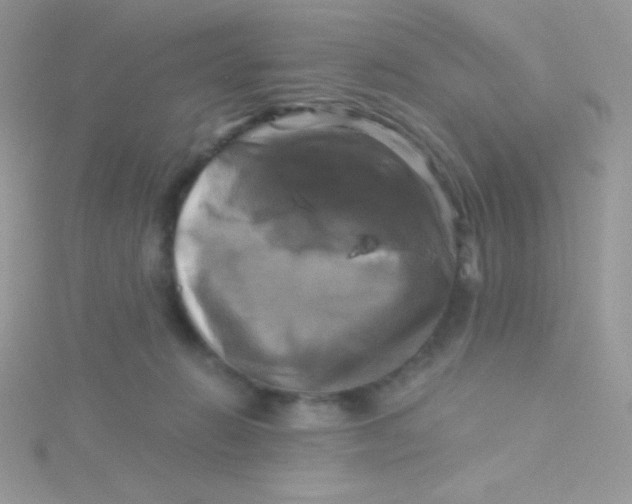 X0000115330270200911231418