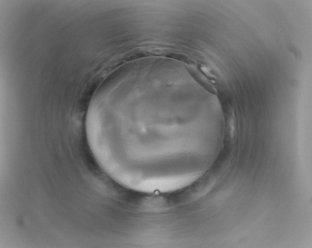 X0000115330271200911231418