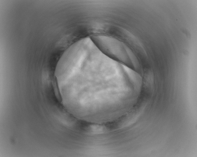 X0000115330272200911231418