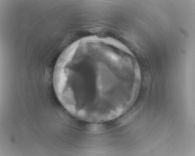 X0000115330273200911231418