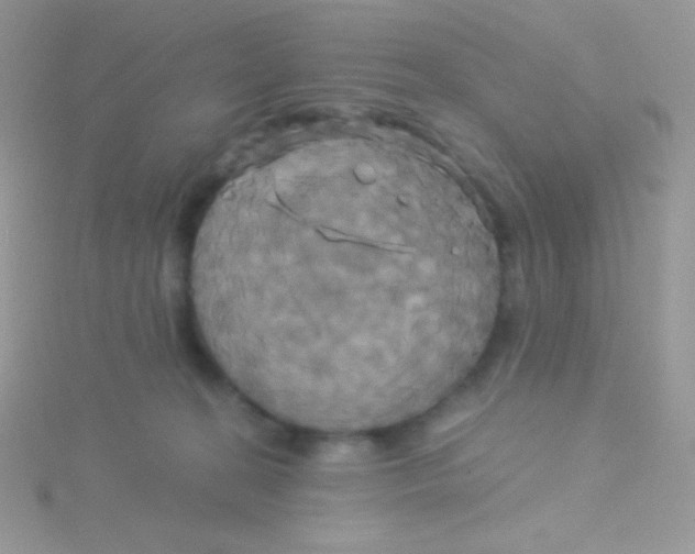 X0000115330274200911231418