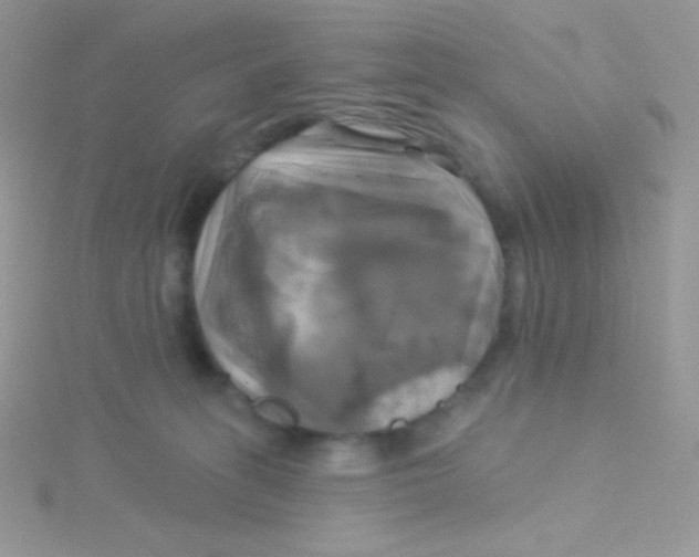 X0000115330275200911231418