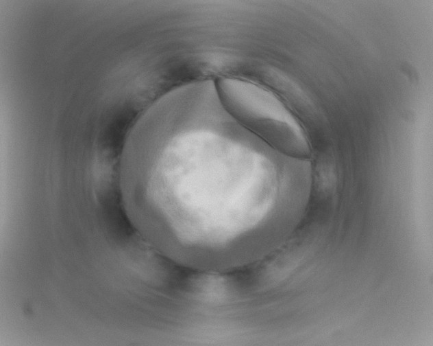 X0000115330276200911231418