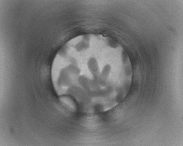 X0000115330278200911231418