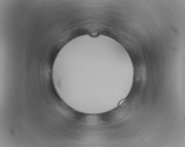 X0000115330279200911231418