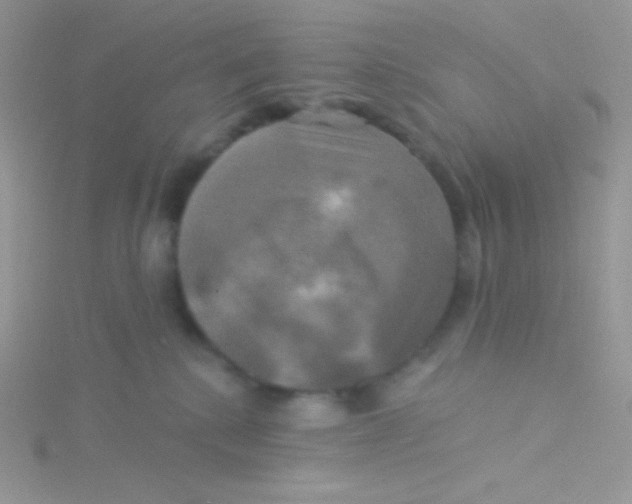 X0000115330280200911231418