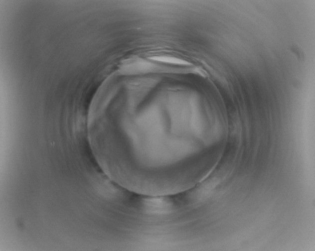 X0000115330281200911231418