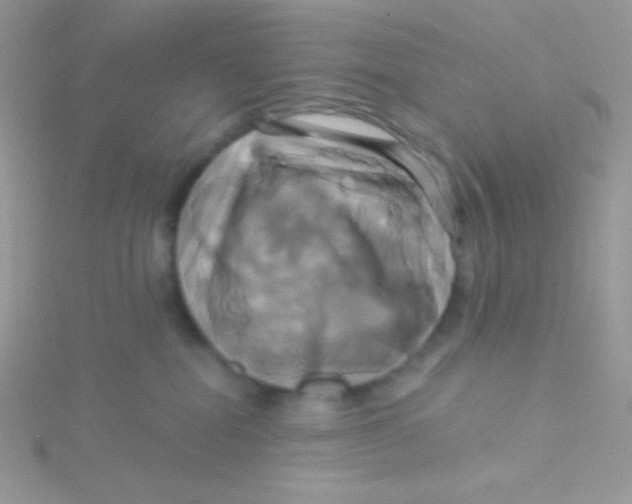 X0000115330282200911231418