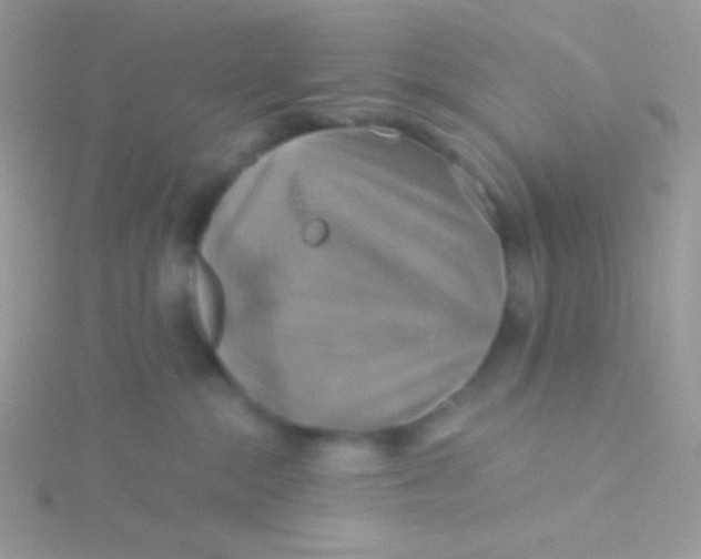 X0000115330284200911231418