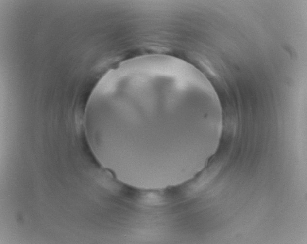 X0000115330285200911231418