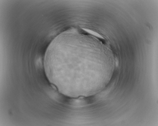 X0000115330286200911231418