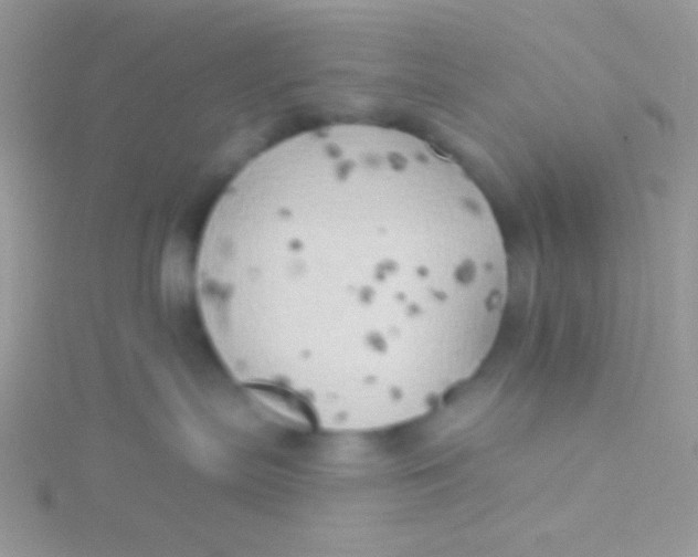 X0000115330287200911231418