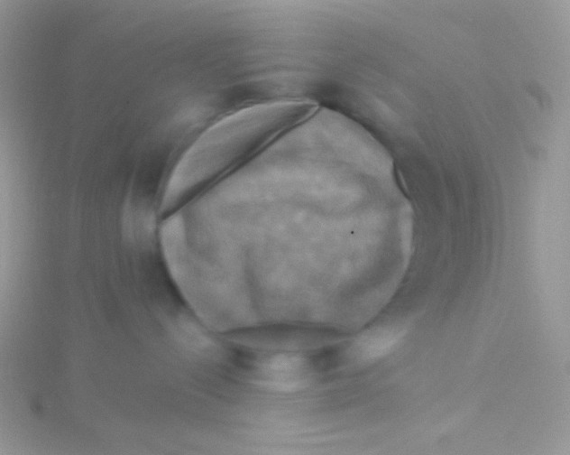 X0000115330288200911231418