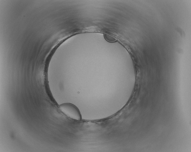 X0000115330290200911231417