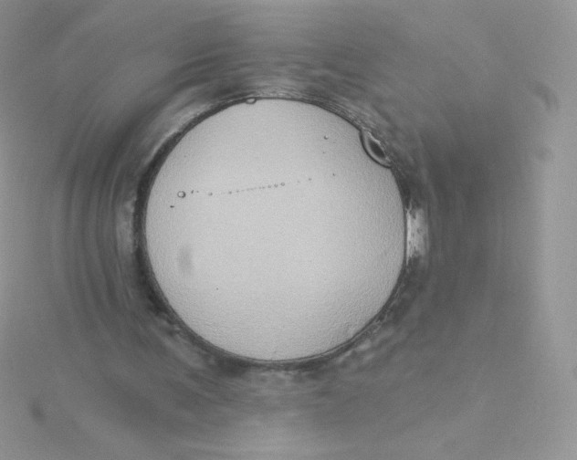 X0000115330291200911231417