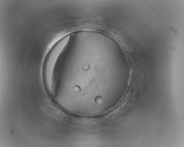 X0000115330292200911231417