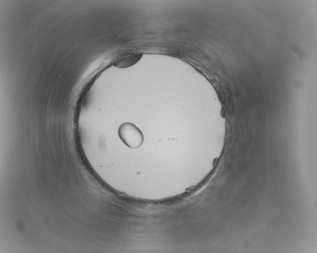 X0000115330293200911231417