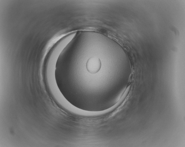 X0000115330294200911231417