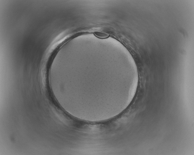 X0000115330295200911231417