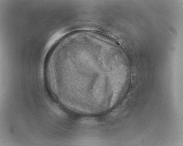 X0000115330296200911231417