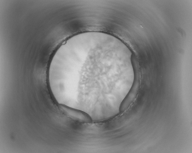 X0000115330297200911231417