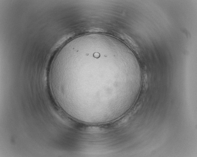 X0000115330298200911231417