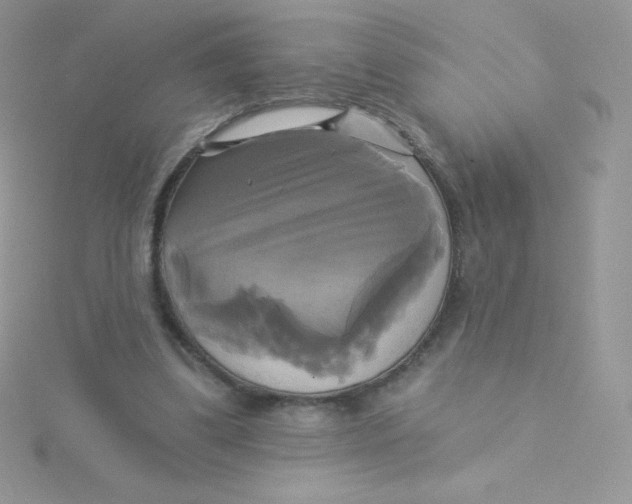 X0000115330299200911231417