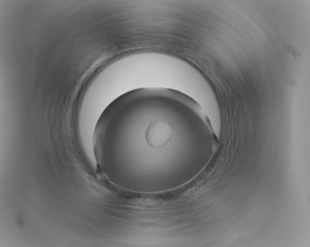 X0000115330300200911231417