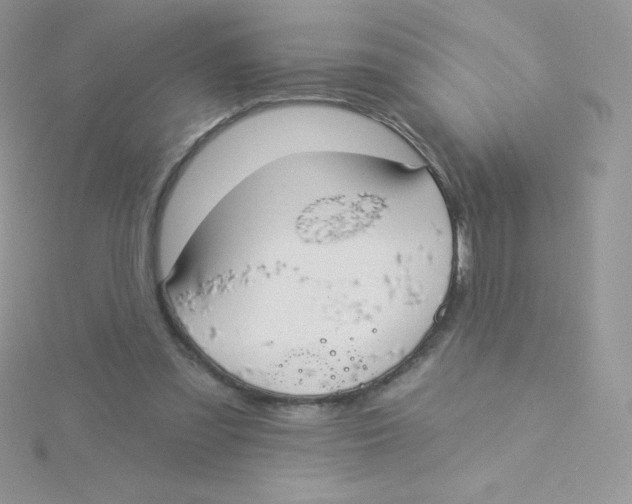 X0000115330301200911231417