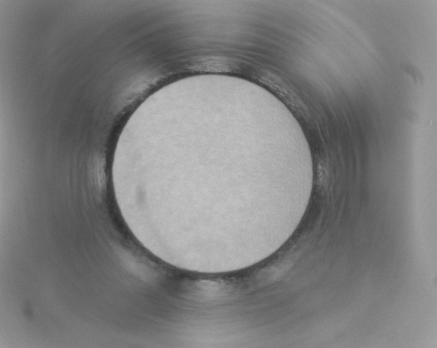 X0000115330302200911231417