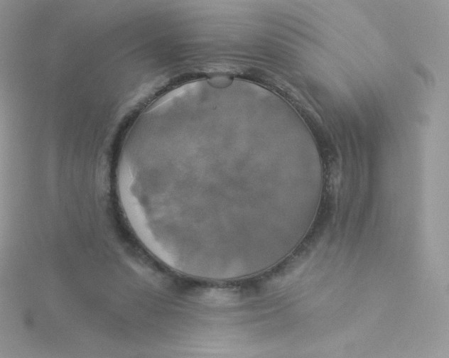 X0000115330303200911231417