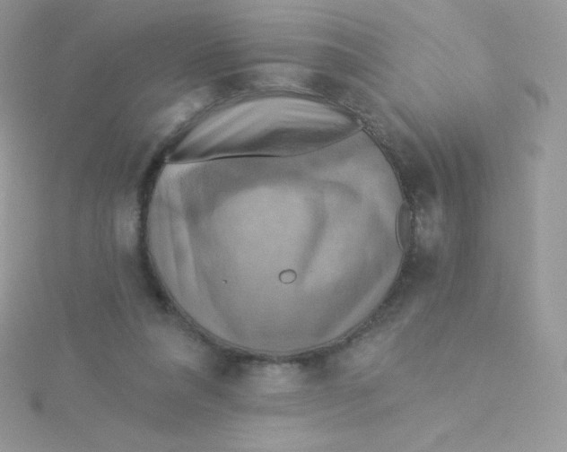 X0000115330304200911231417