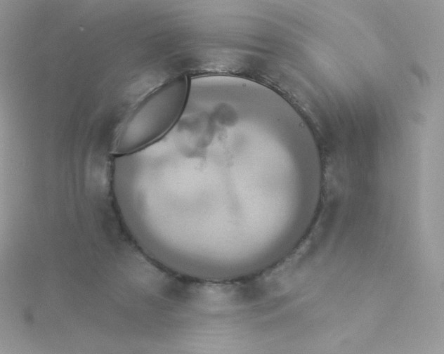 X0000115330305200911231417