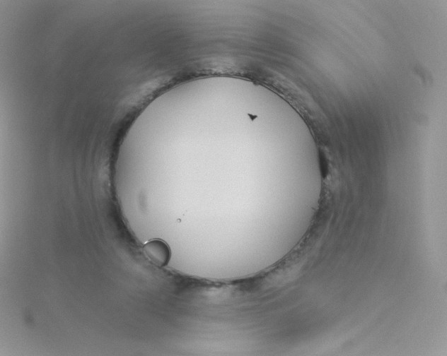 X0000115330306200911231417