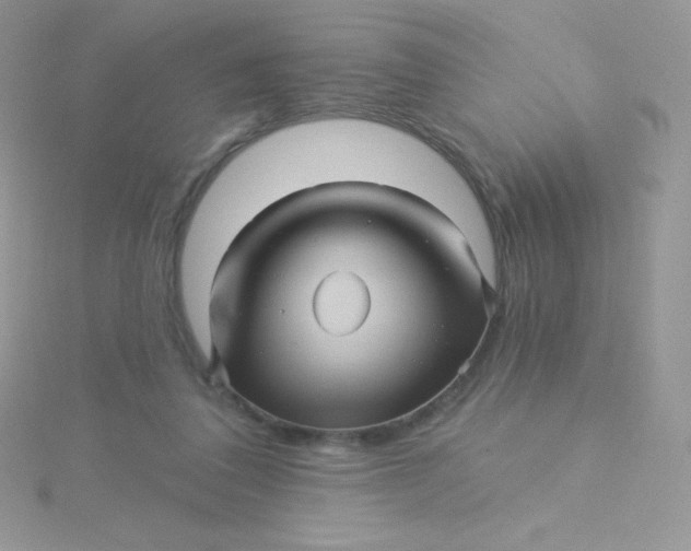 X0000115330308200911231417