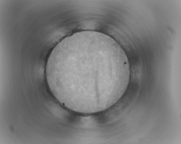 X0000115330309200911231417