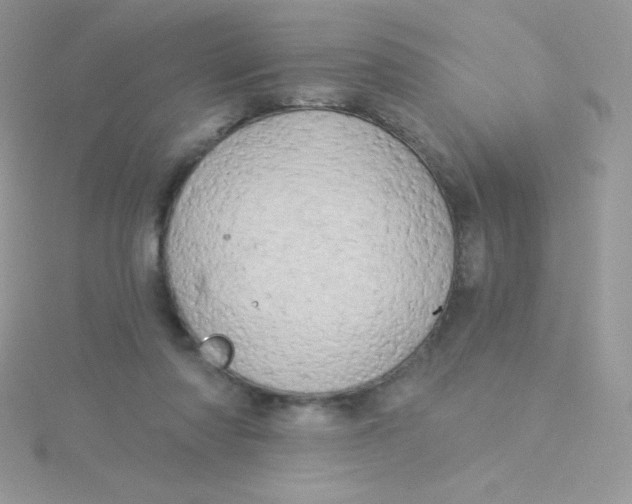 X0000115330310200911231417