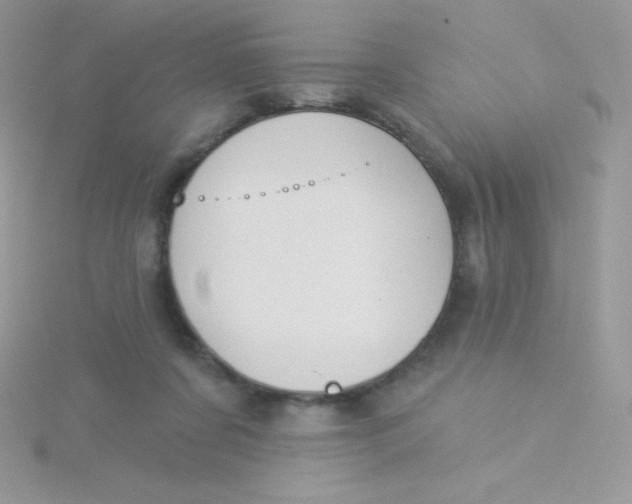 X0000115330311200911231417