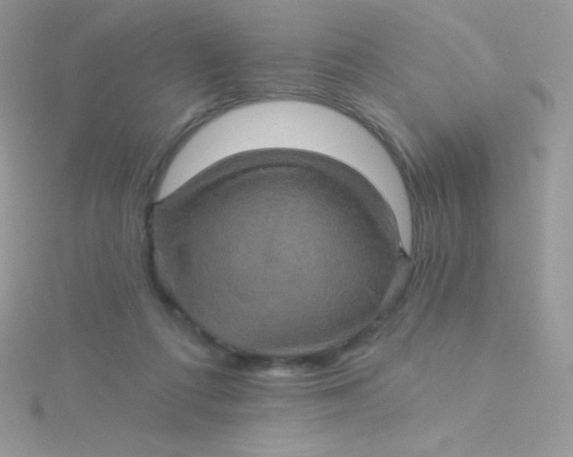 X0000115330312200911231417