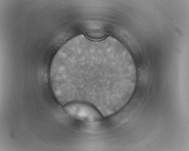 X0000115330313200911231417