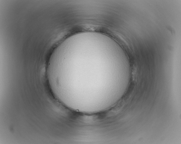 X0000115330314200911231417