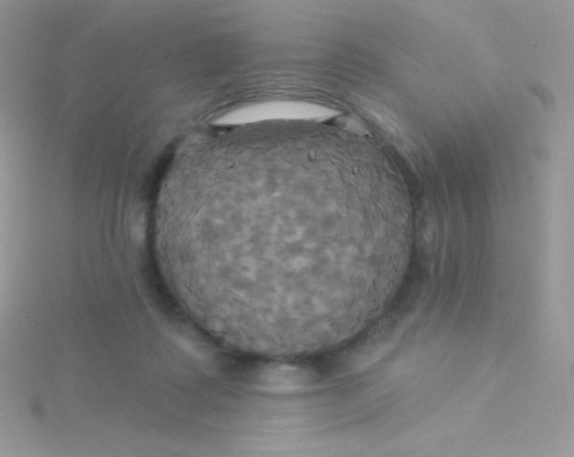 X0000115330315200911231417